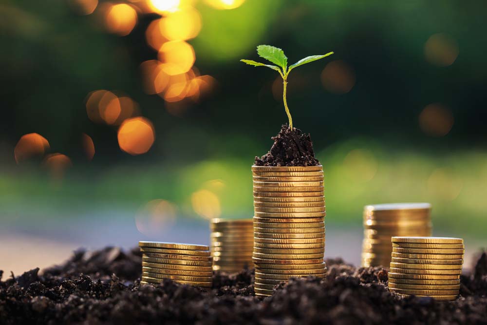 Multifamily Investment Process